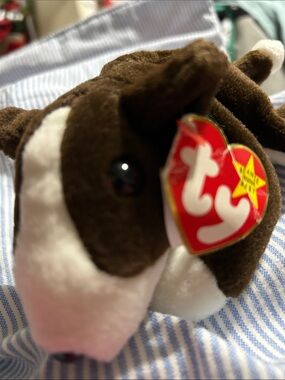 Ty Plush Guinea Pig in Brown and White with Heart Tag